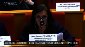 France Charruyer le 17 décembre lors de son audition au Sénat par la commission spéciale présidée par M. Olivier Cadic dans le cadre de l'examen du projet de loi relatif à la résilience des infrastructures critiques et au renforcement de la cybersécurité.