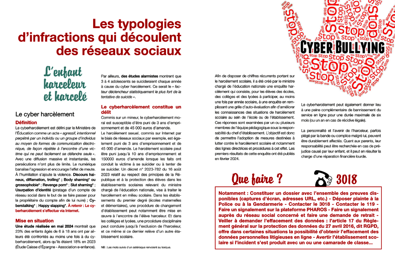 L’enfant harceleur et harcelé, cyberharcèlement, Guide des réseaux sociaux, Data Ring